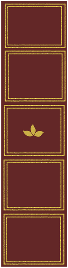 spine spine